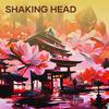 Breakbeat Populer - Shaking Head