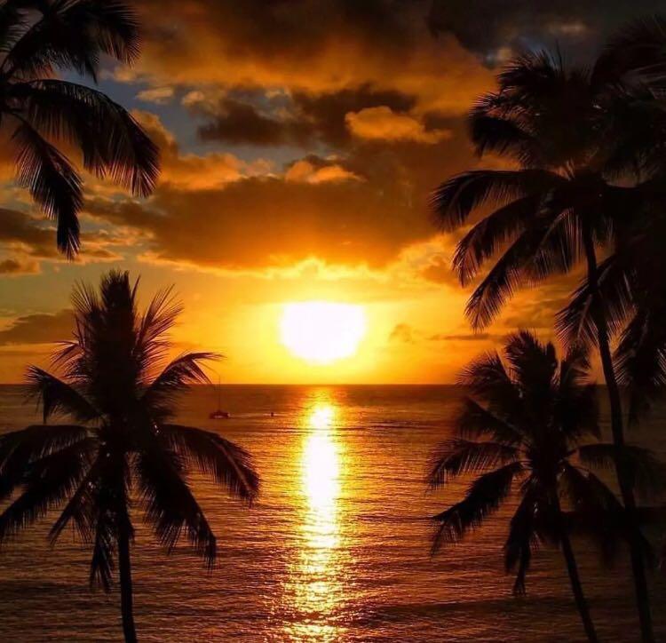 Lisitsyn - I'm Coming One（网虫i remix）