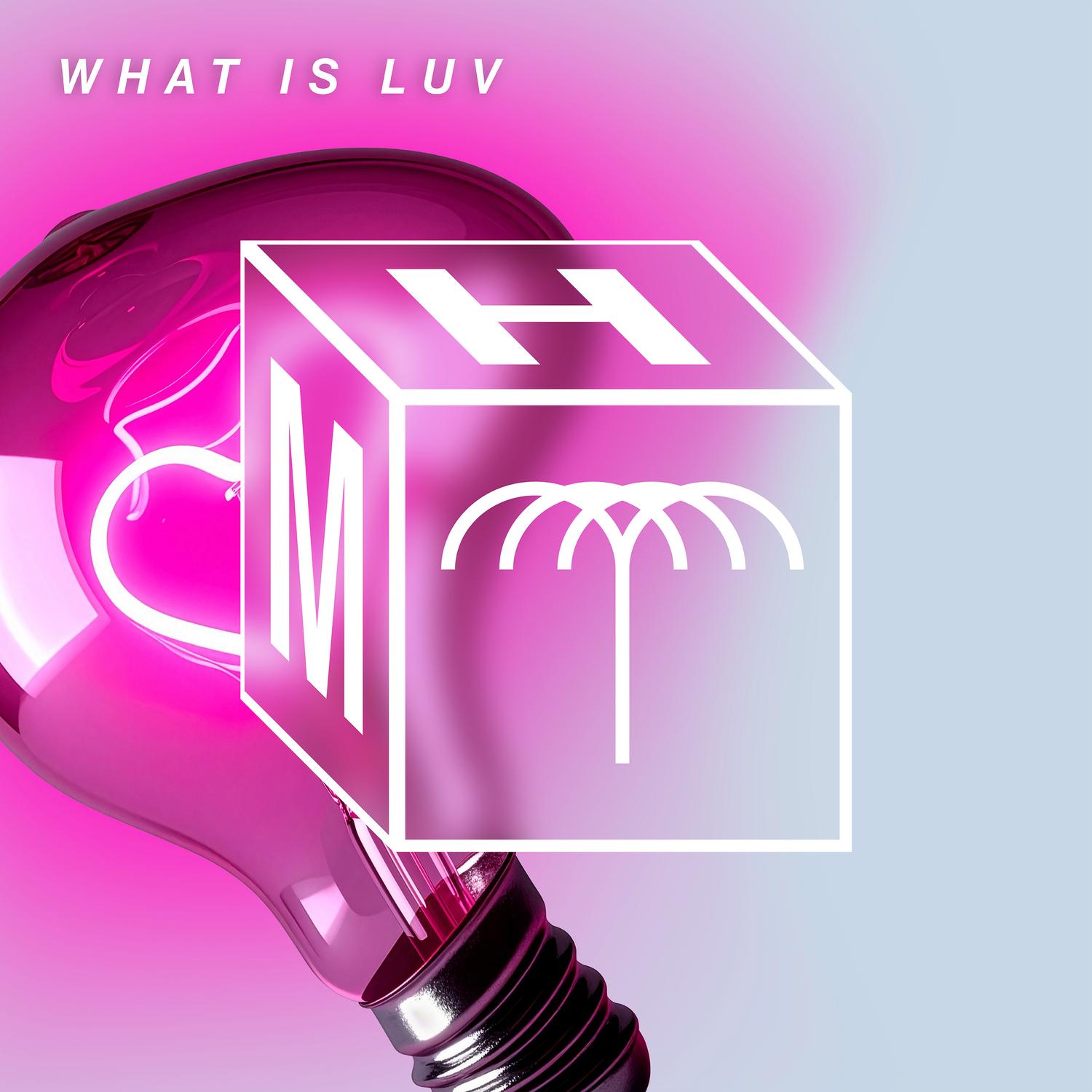 What Is Luv (Extended Mix)