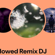 Slowed Remix DJ歌手图片
