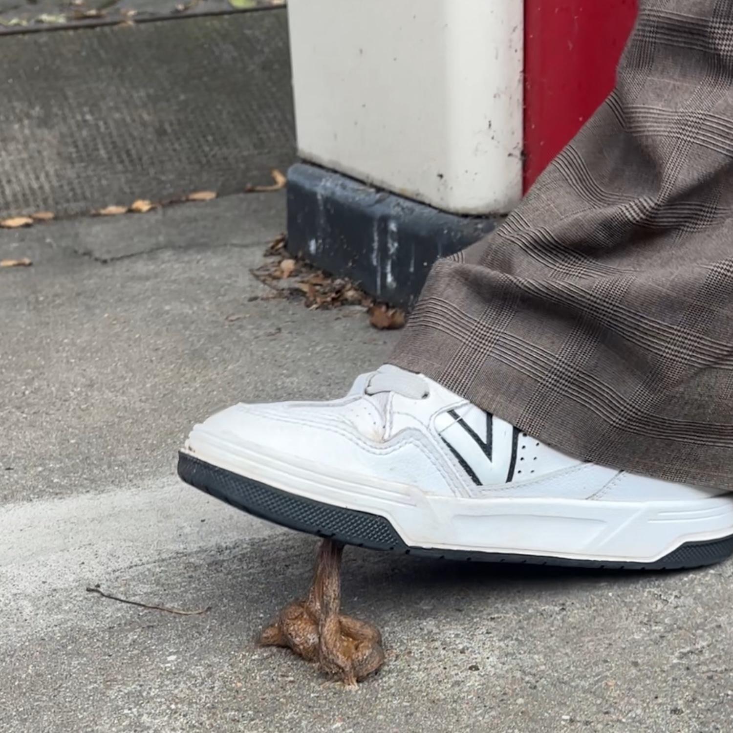 Scheiße am Schuh