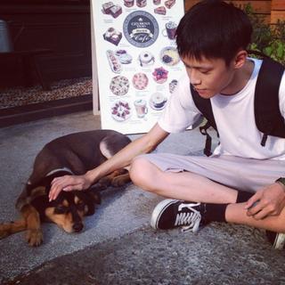 黄雋智喜欢的歌