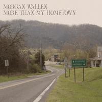 More Than My Hometown - Morgan Wallen (PT Instrumental) 无和声伴奏