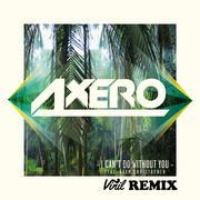 I Can't Do Without You (Vinil Remix)专辑