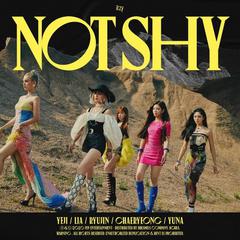 Not Shy-翻自ITZY