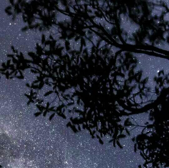 我 去 宇 宙 偷 星 星，放 在 夜 里 等 你♡