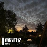雨后日记