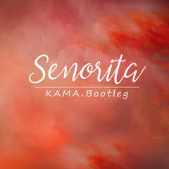 Senorita（KAMA remix）