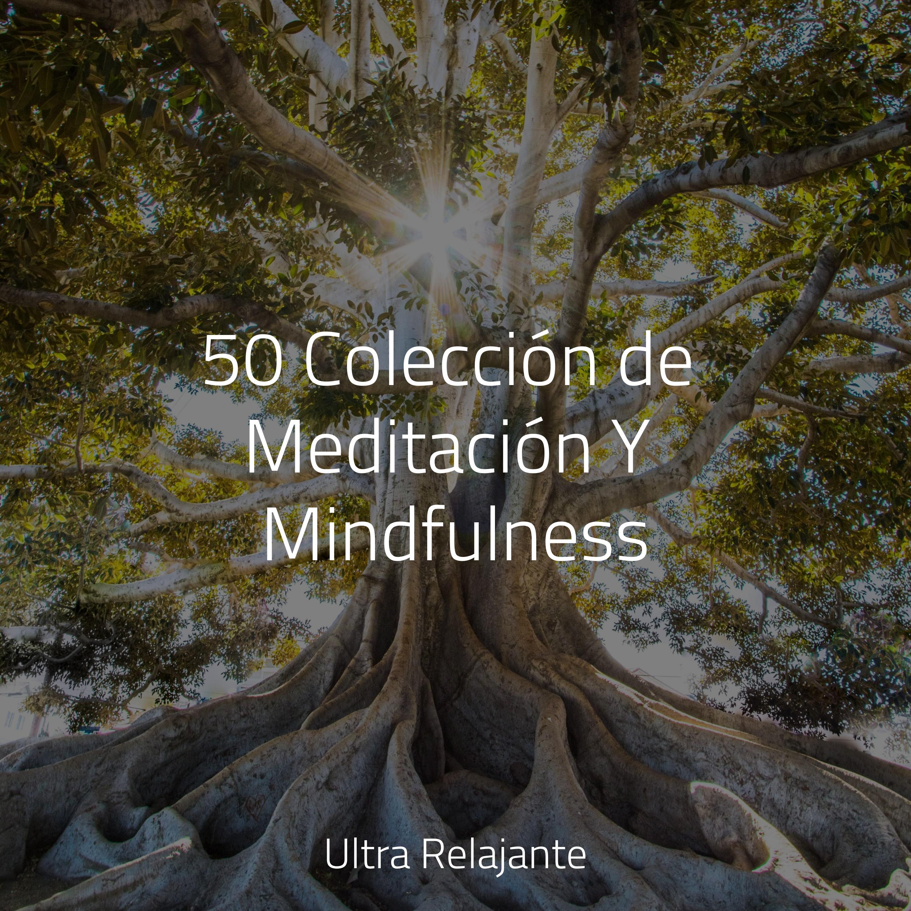 Meditação Zen - Yogui Pensativo