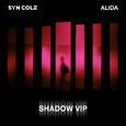 Shadow (VIP Mix)