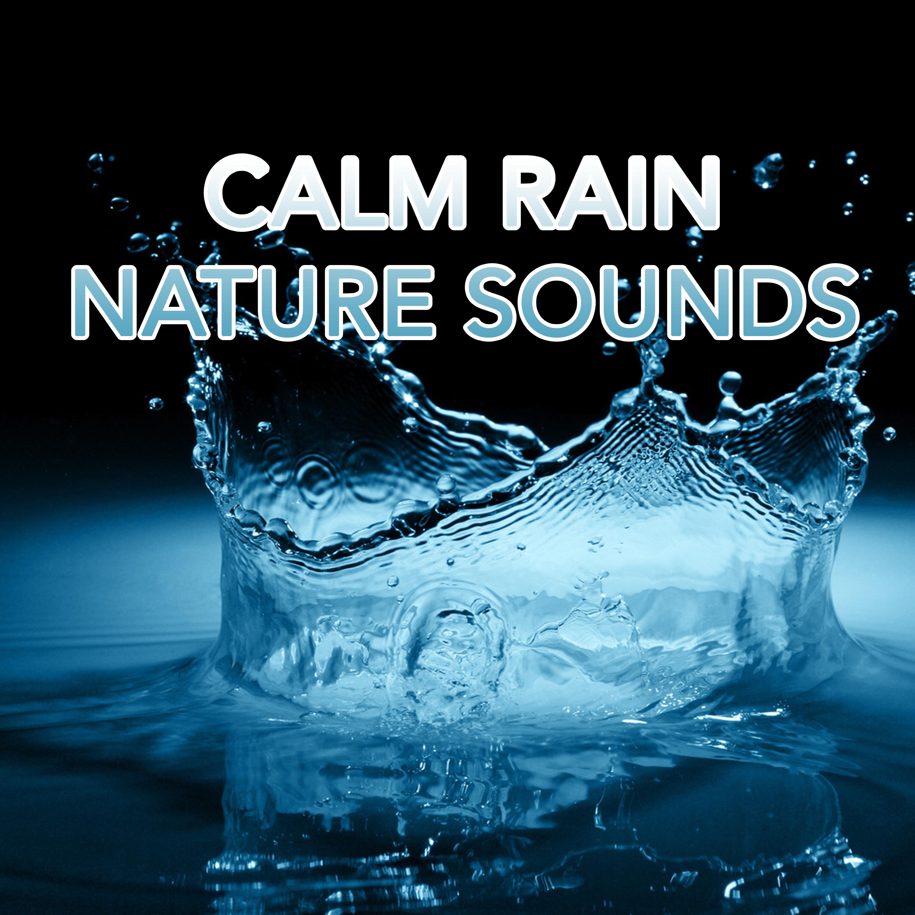 Calm Rain Nature Sounds - Rain Sounds - 专辑 - 网易云音乐