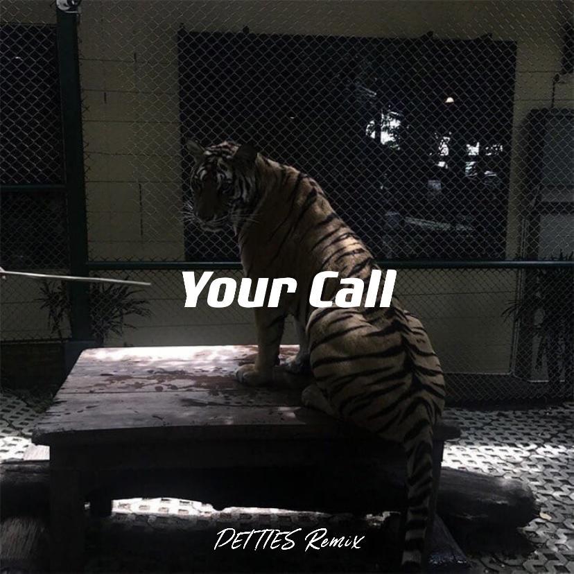 Your Call (DEITIES REMIX)专辑