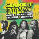 Shake It To The Max (FLY) [Remix]专辑