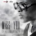 Miss You - Single专辑