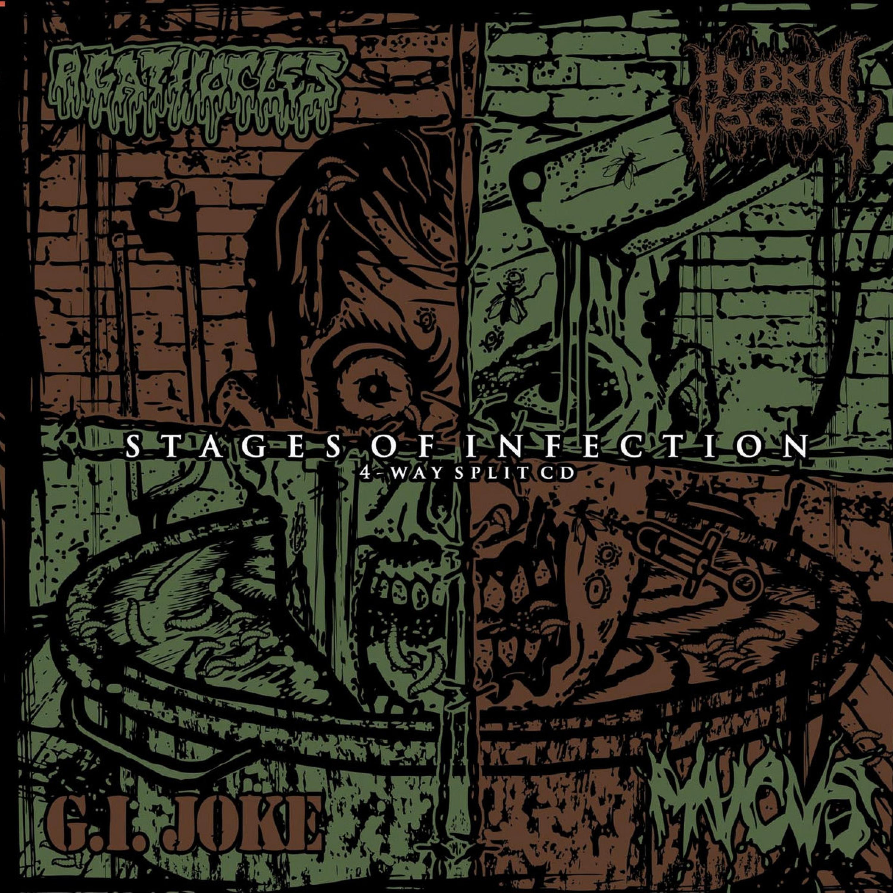 Stages Of Infection