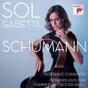 Schumann专辑