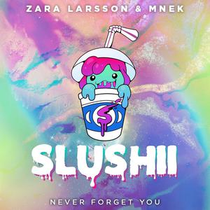 Mnek & Zara Larson - Never Forget You (VS karaoke) 带和声伴奏