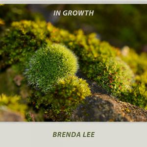 Speak To Me Pretty - Brenda Lee (PH karaoke) 带和声伴奏 （升4半音）