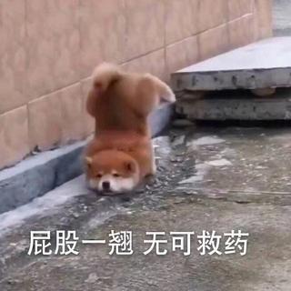 无限循环过的Rap