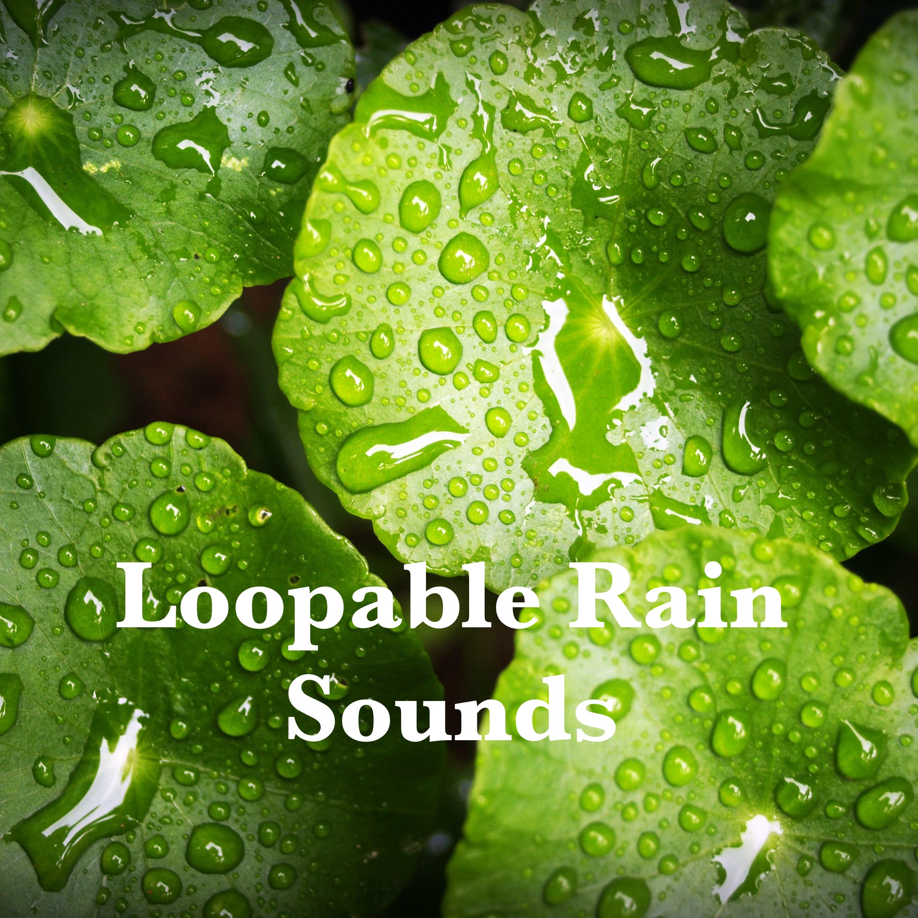 18 Best Loopable Rain Sounds for Sleep - Shlafen Regen专辑