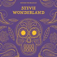 Stevie Wonder - Lately (PT karaoke) 带和声伴奏