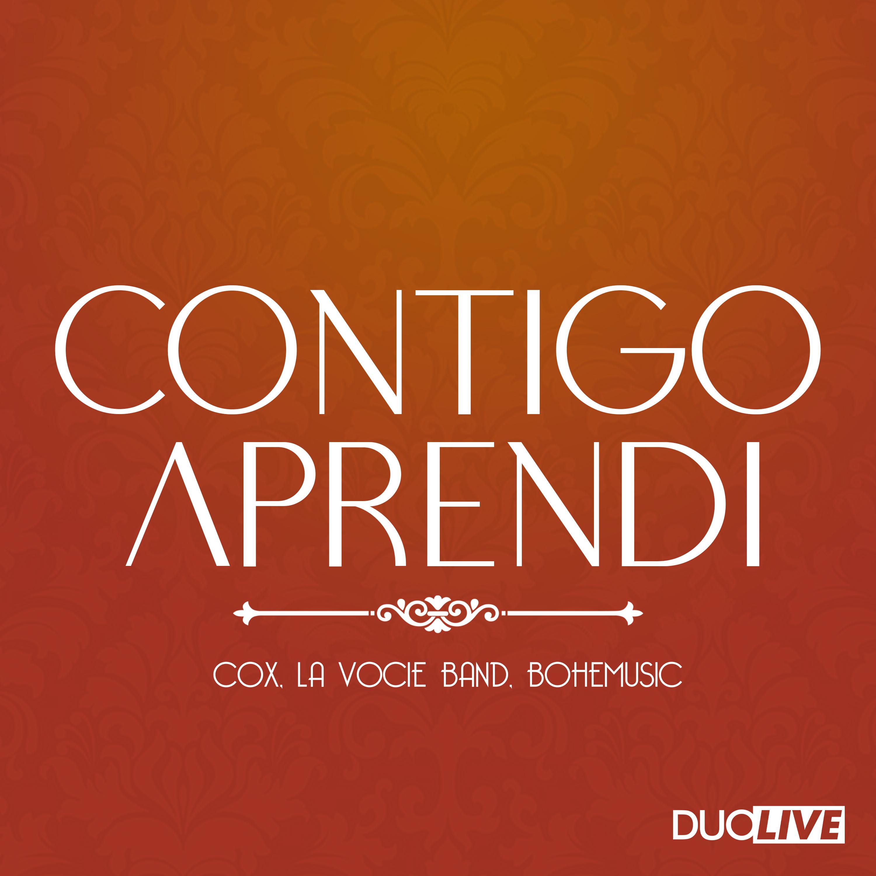 Contigo Aprendi