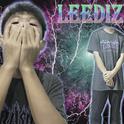 LeeDizy