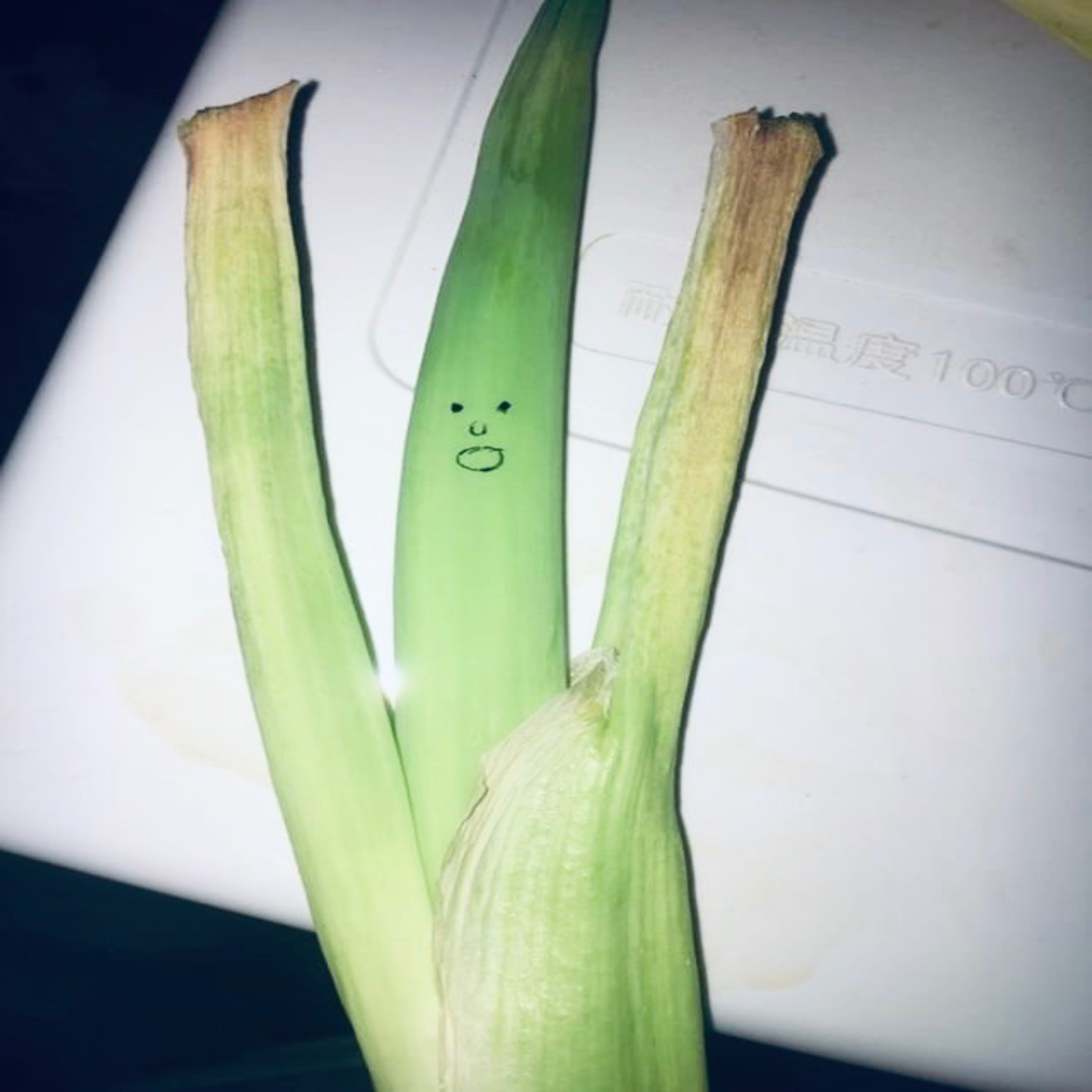 実録!!｢流麗なアルペジオにオタクは涙する、その謎を探るべく我々はアマゾンの奥地へ足を踏