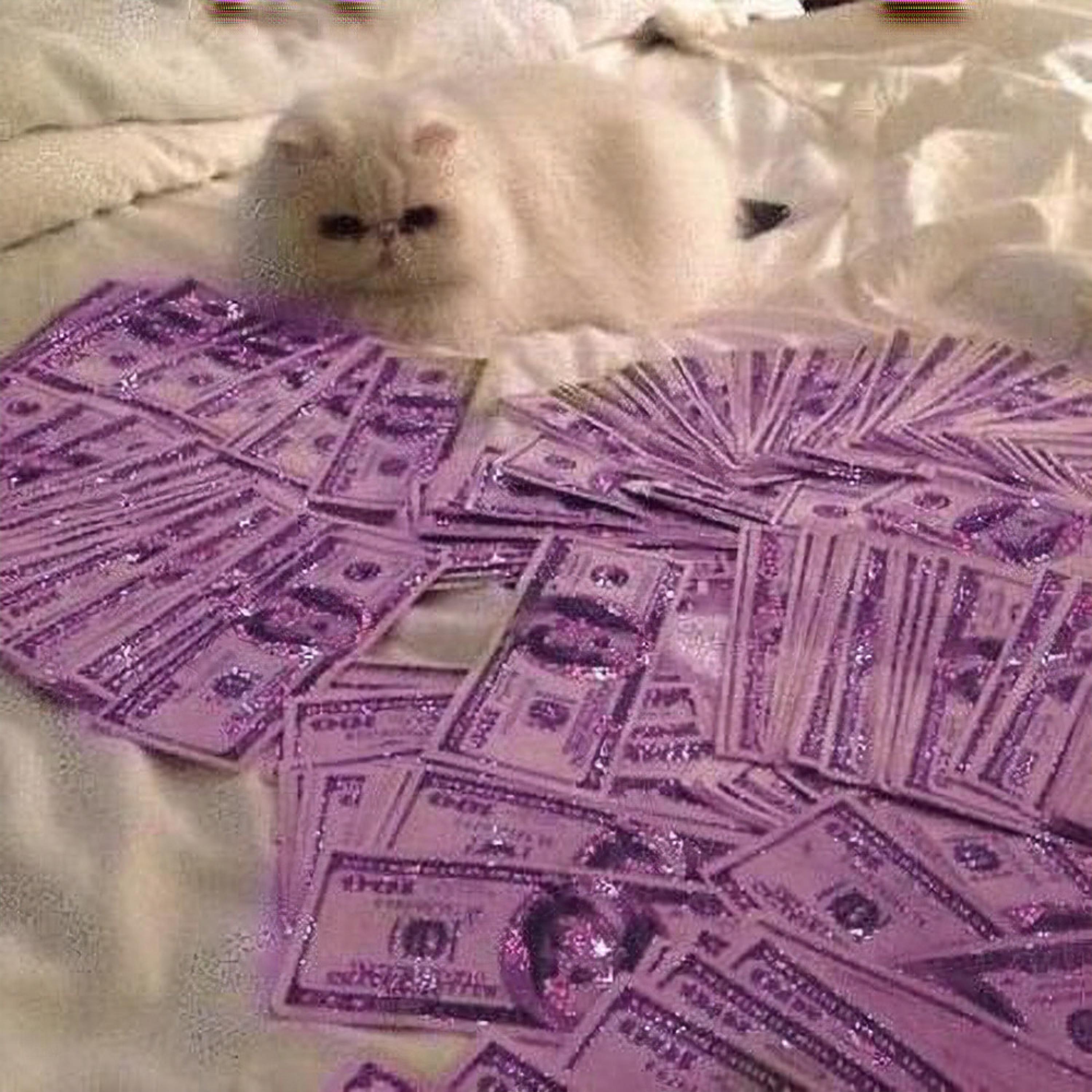 WE CHASIN HUNDOS TRYNA STAKK DIFFERENT COLOR HUNDOS*