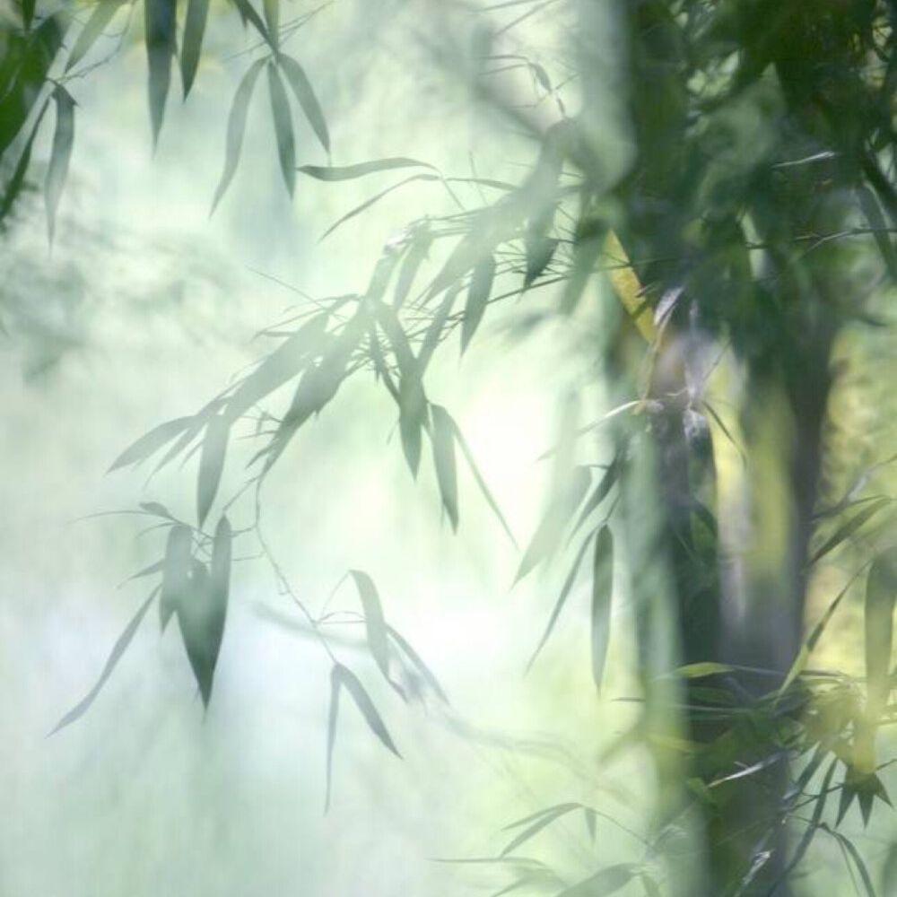 第三十八年夏至（4p各唱各挑战版本）