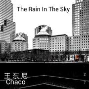 The Rain In The Sky