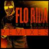 Flo Rida - Wild Ones (Project 46 Remix)