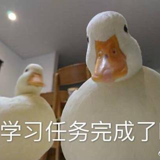 听着听着就会背了然后考试就得分了