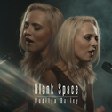 Blank Space (Acoustic Version)专辑