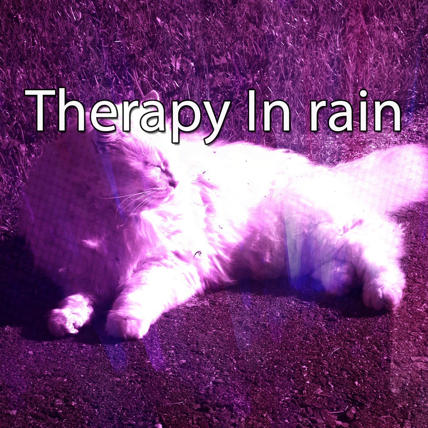 Therapy In rain专辑