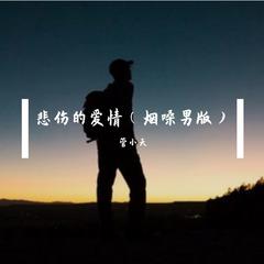 悲伤的爱情（烟嗓男版）