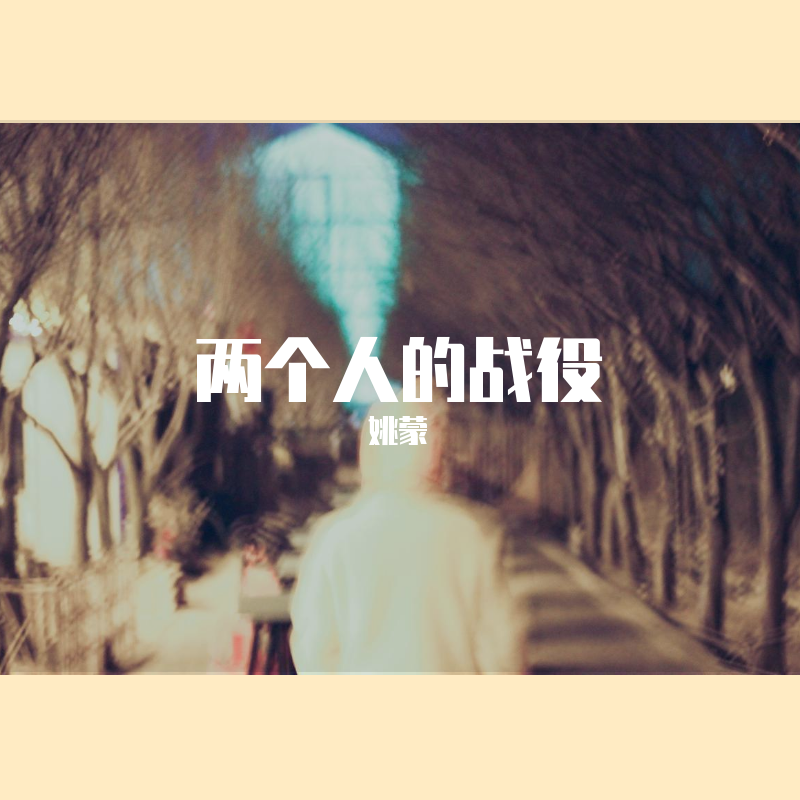 两个人的战役