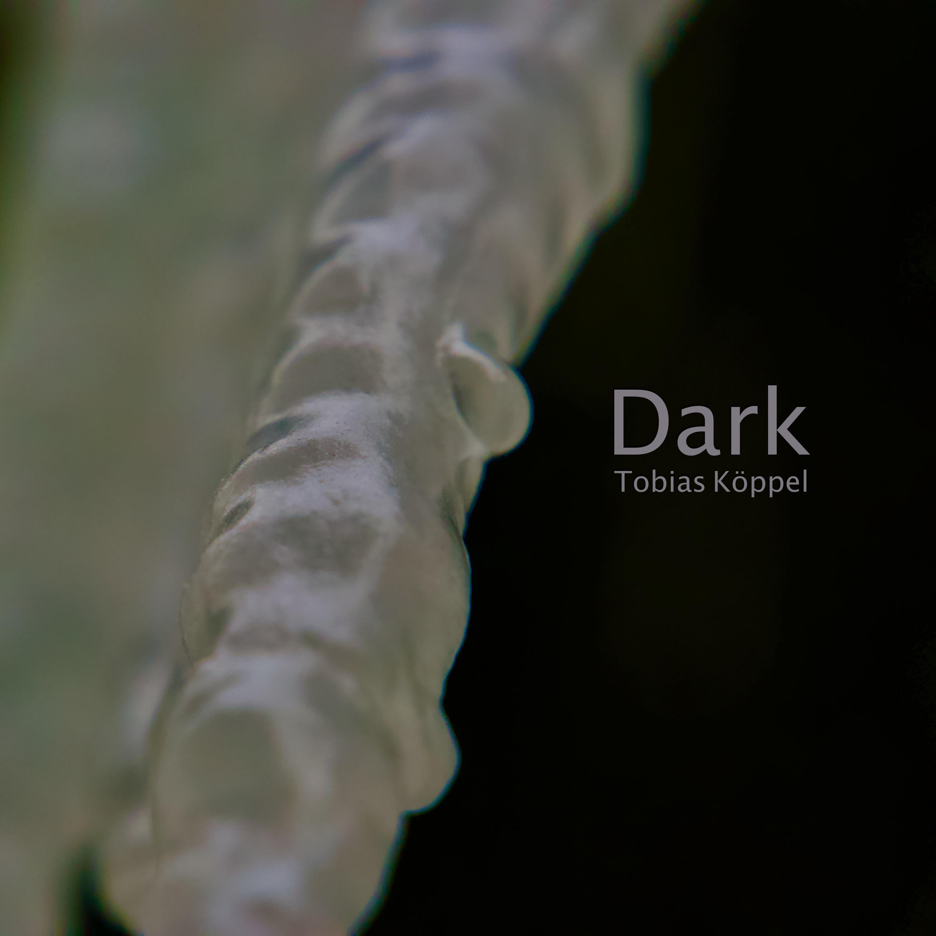 Dark