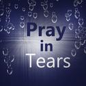 Pray in Tears专辑