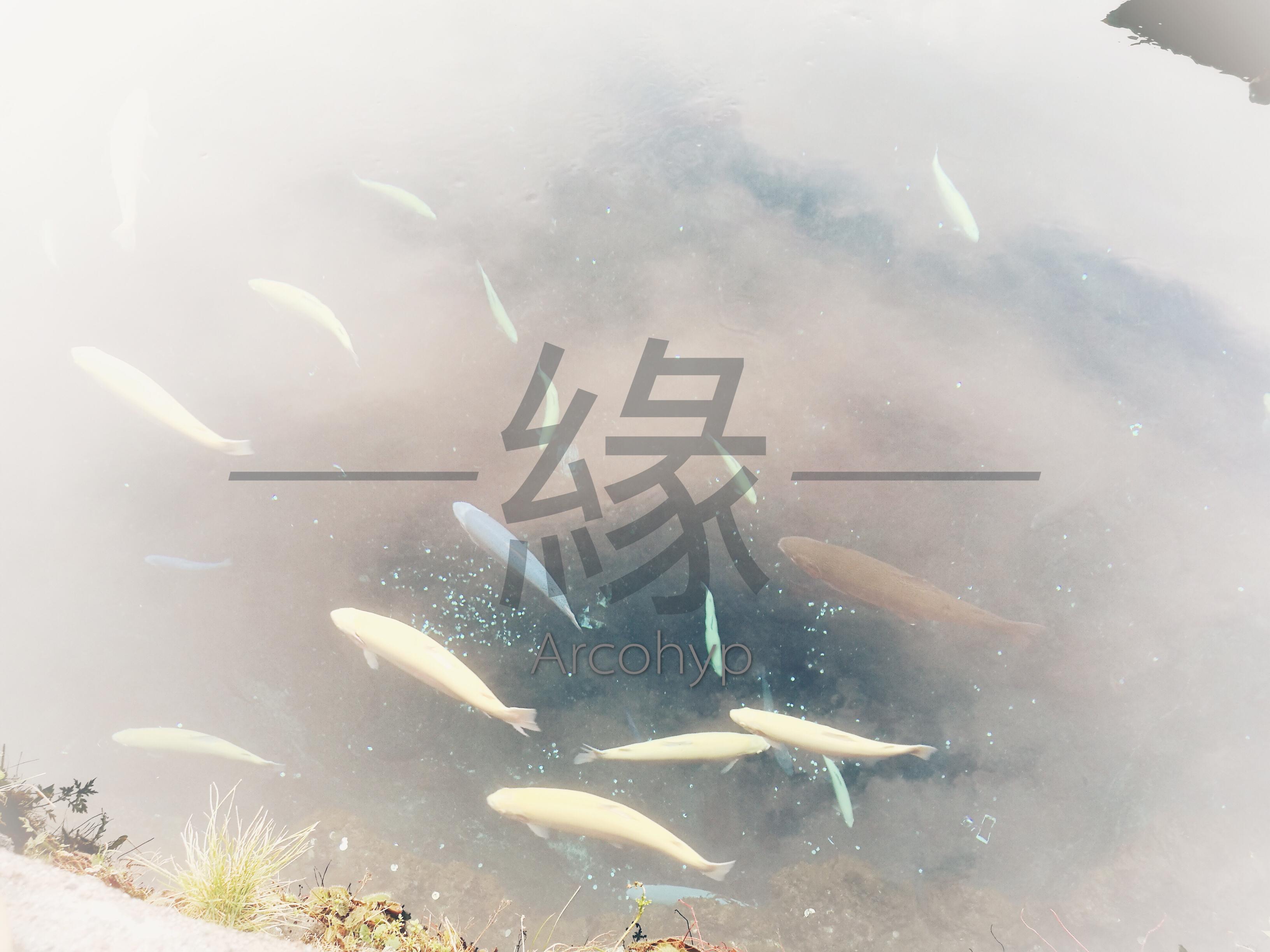 縁专辑