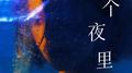 每个夜里专辑