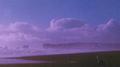 Sky Blush专辑