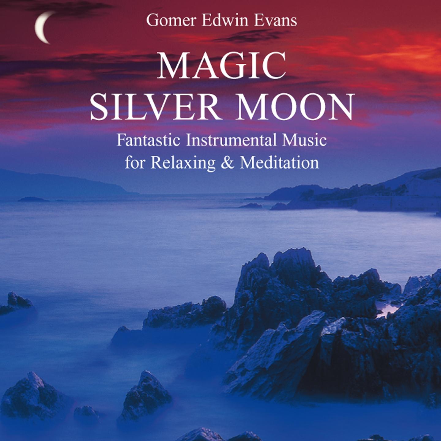 Magic Silver Moon: Fantastic Instrumental Music专辑