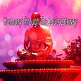 Harmony Through The Souls Gateway