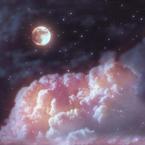 专辑《星夜》