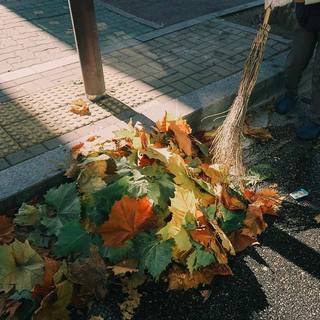 精选｜巨蟹座的专属旋律