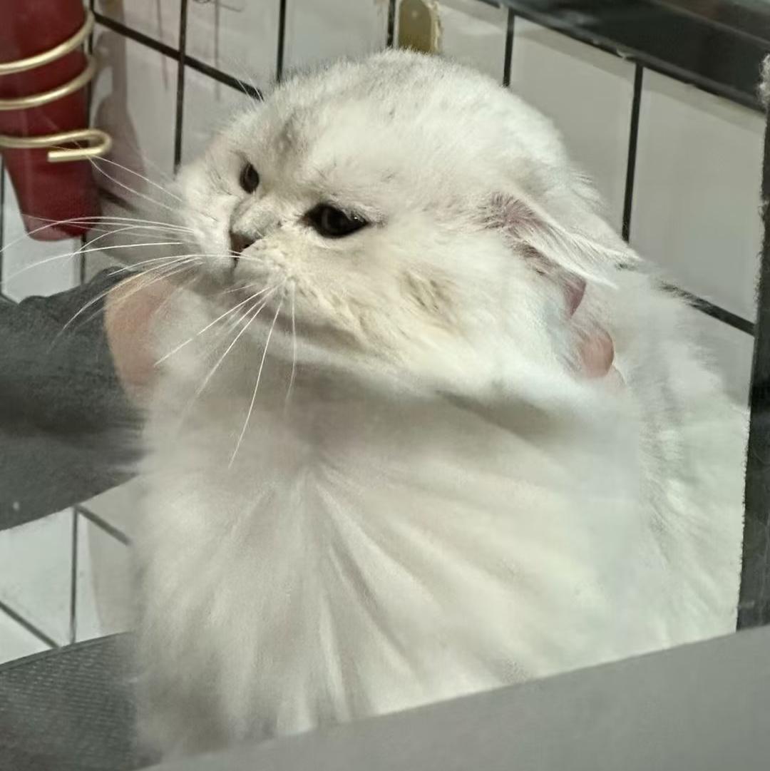 迟来的情话