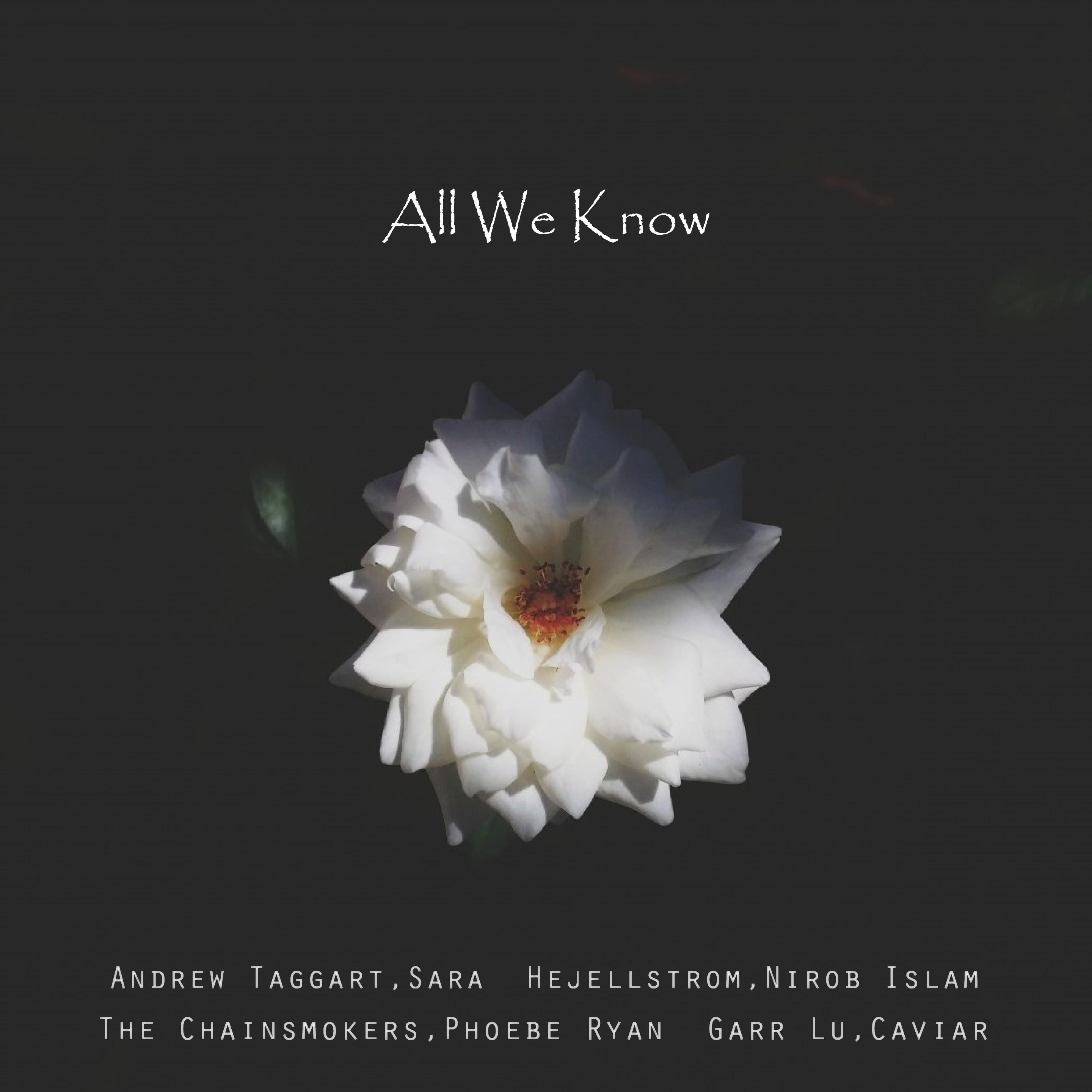 All We Know专辑