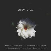 All We Know (feat. Irene)