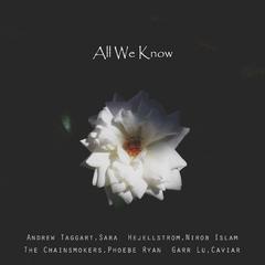 All We Know (feat. Irene)